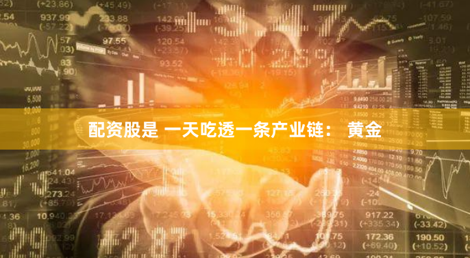 揭秘在线配资网：从入门到精通的实战指南